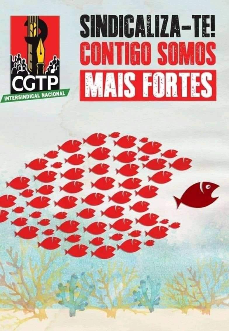 125475928_1032168137266161_2422528252504