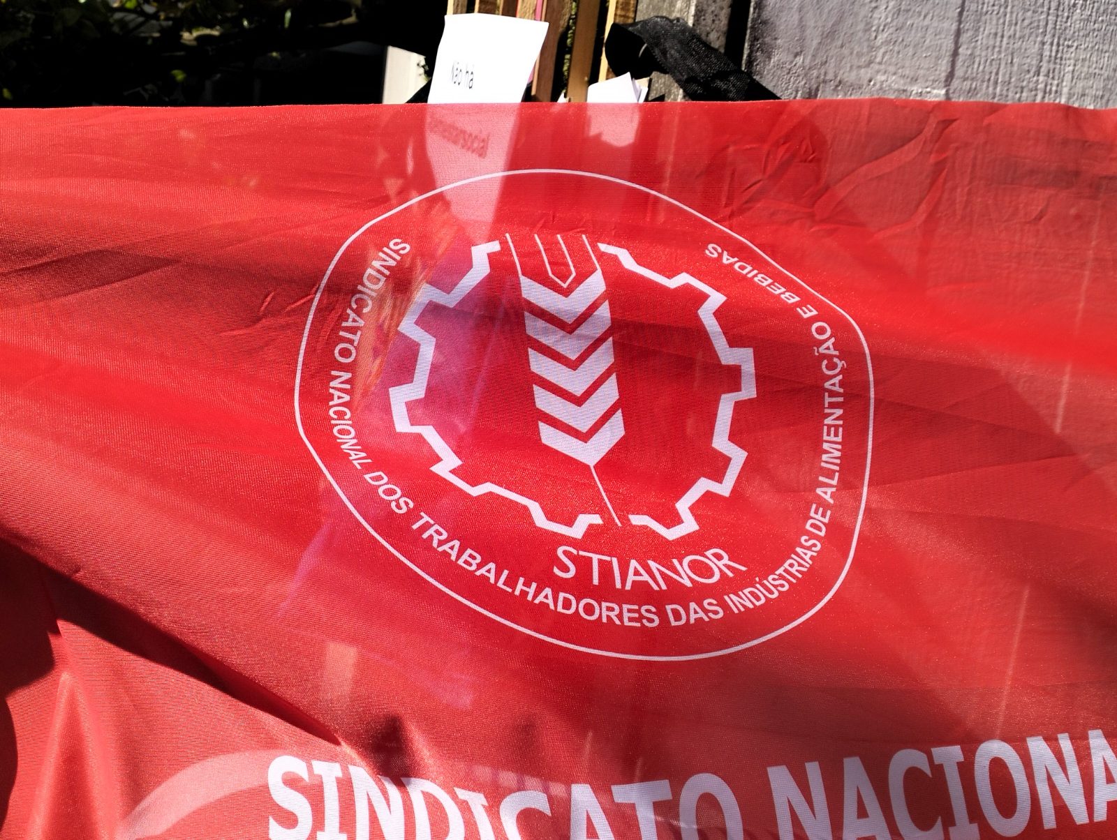 Eleições Corpos Gerentes – 2026/2029